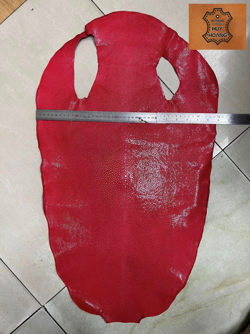 ban-da-ca-duoi-ca-chem-thuoc-da-huy-hoang-007 Bán thuộc Da cá đuối nhập khẩu các màu thuộc da huy hoàng 003